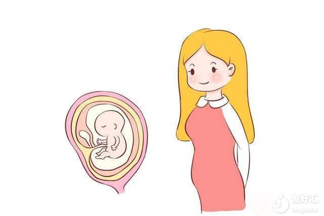 如何預防胚胎停育？教你幾招！