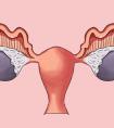女性健康必知：卵巢掌握著衰老速度，你需要這6個護理小知識！